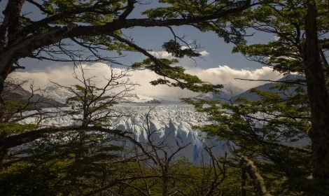 D10 Perito Moreno Glacier Forest, El Calafate - Atelier South America