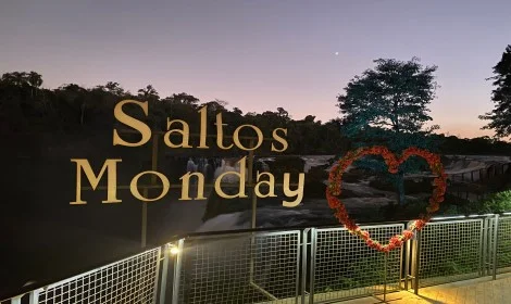 Day 6 - Saltos del Monday-Paraguay-Atelier South America