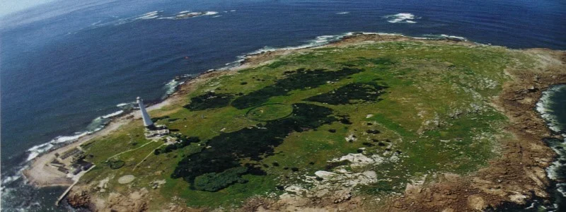 De Lobos Island, Punta del Este, Uruguay - Atelier South America