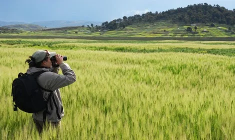 D7 Watching, Titilaka Hotel, Puno - Atelier South America