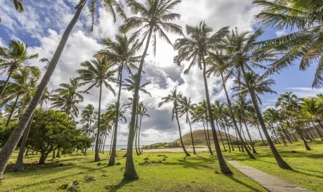 D14 Anakena Beach, Rapa Nui, Nayara Hangaora Hotel - Atelier South America