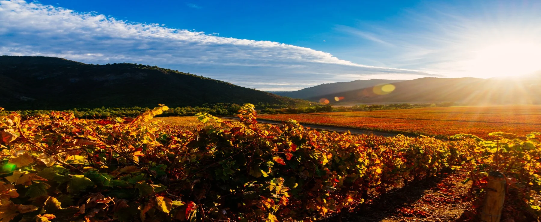 Vineyards Vik Hotel - Chile - Atelier South America